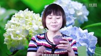 護膚步驟薰衣草精油的提取及使用方法快速化妝