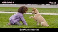 《安妮:紐約奇緣》今公映 爆點不斷獲贊賀歲最歡樂