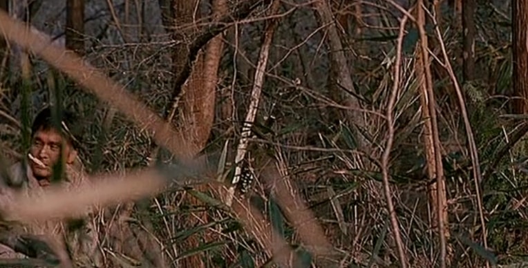 http://www.omega3-ala.com/pics/default/download/72fb763f5c798463fa1e76eb491f0a14.jpg