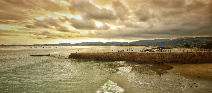 http://www.omega3-ala.com/pics/default/download/73c3/e2170e980bc56b23c5d11dd30559.jpg
