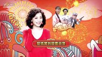 湖南經(jīng)視《野火春風(fēng)逗古城》宣傳片之群星拜年篇