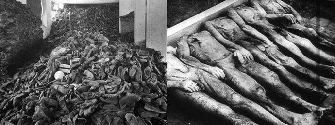 http://www.omega3-ala.com/pics/default/download/7421ae830504ff48f92784933a4c9d61.jpg