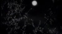 神秘的旅伴-插曲“緬桂花開十里香”音樂
