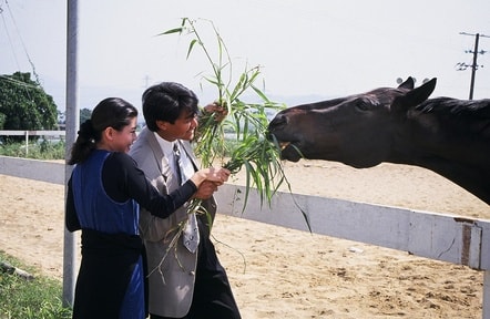 http://www.omega3-ala.com/pics/default/download/75e29562195817cb999f03c5b9e75d15.jpg