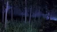 武工隊(duì)傳奇36-方佳