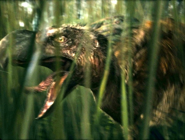 http://www.omega3-ala.com/pics/default/download/780a91b67344c77a8a7e973810abf2c2.jpg