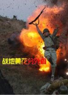 戰(zhàn)地黃花分外香