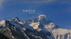 預(yù)告片