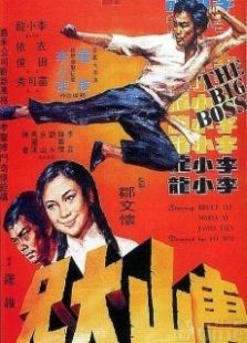 唐山大兄粵語版