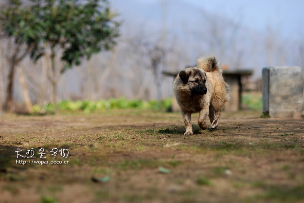http://www.omega3-ala.com/pics/default/download/7983975ee756c9def89ac66ccbaa65ce.jpg