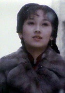 趙雅芝