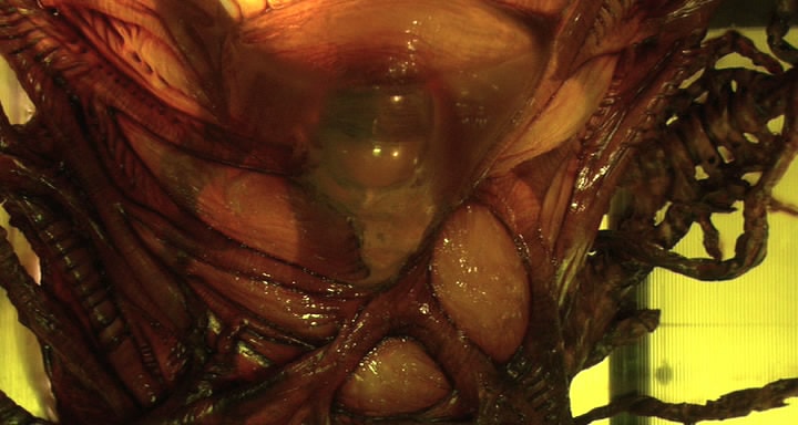 http://www.omega3-ala.com/pics/default/download/79f935d9b859a77977969b9e808cb1be.jpg