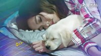 神犬小七第二季片尾曲《給我的快樂》