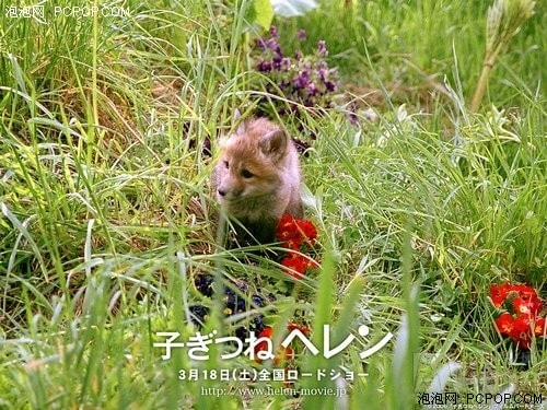 http://www.omega3-ala.com/pics/default/download/7b18766fe7d918484f36e1a273dbe8ea.jpg