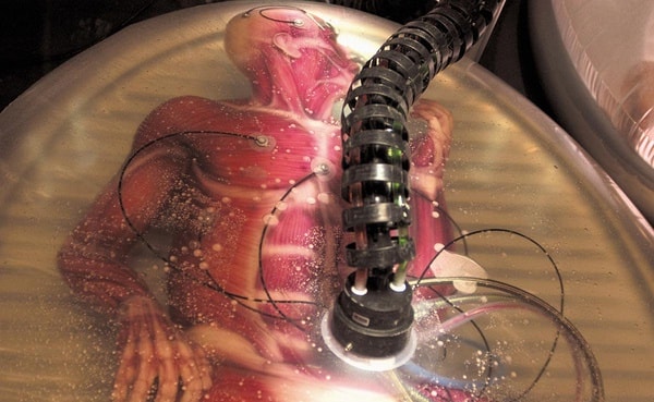 http://www.omega3-ala.com/pics/default/download/7b197bceab1527761d88a83b2b8df067.jpg