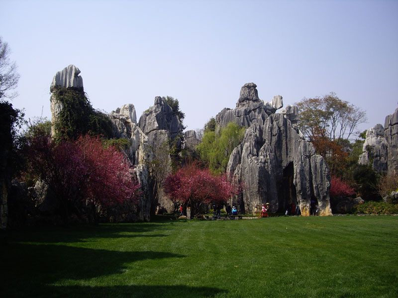 http://www.omega3-ala.com/pics/default/download/7b1ee0d40d0a7123b2a361cb7c925d8e.jpg