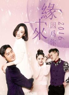緣來因為你2016