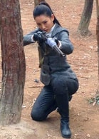 楊卿