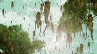 《少年毛澤東》曝終極預(yù)告   聲音與畫面的完美結(jié)合