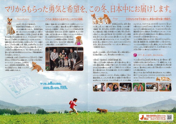 http://www.omega3-ala.com/pics/default/download/7bc0330d08caf41580ce00ec8d04b51b.jpg