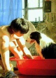 石頭