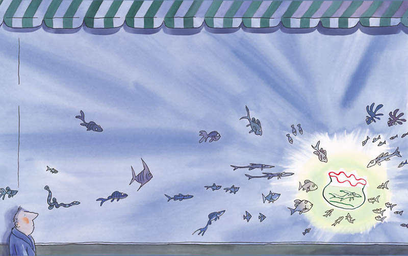 http://www.omega3-ala.com/pics/default/download/7c87d1c5eaae23c3590112587c9f66df.jpg