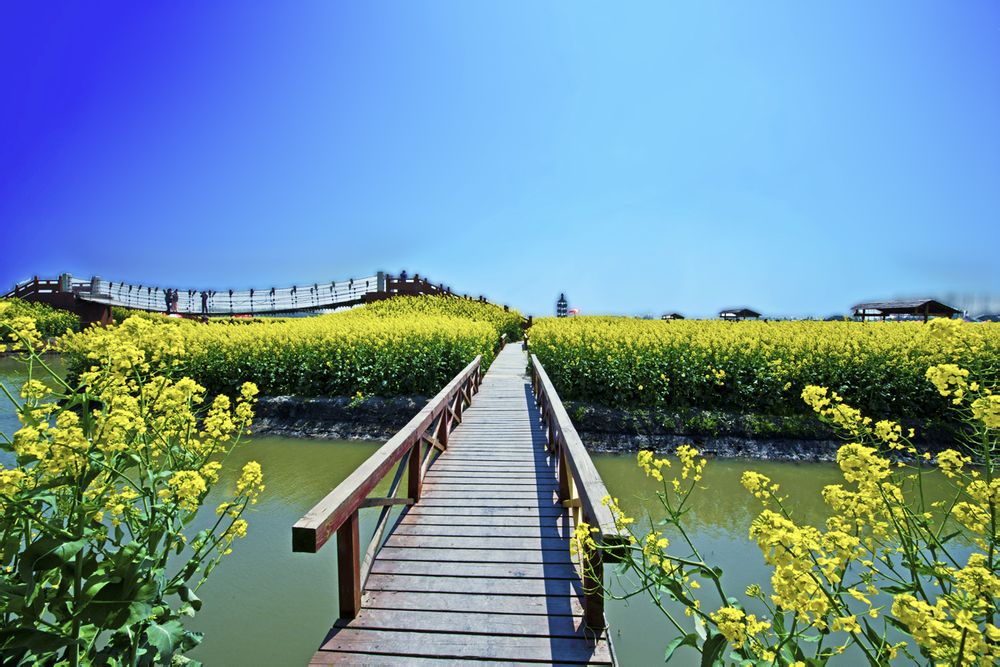 http://www.omega3-ala.com/pics/default/download/7cd53fe2e178be2e5d7053249717fa23.jpg