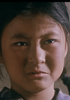 黃兆函