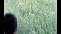 小兵張嘎 石磊歪嘴兒 翻滾打架
