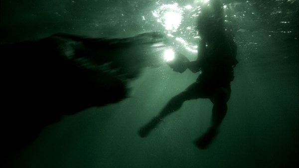 http://www.omega3-ala.com/pics/default/download/7ea8cb22dd5438def768ce37e76bc174.jpg