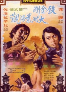 鐵金剛大破紫陽觀