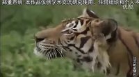 注定的愛(ài)情01