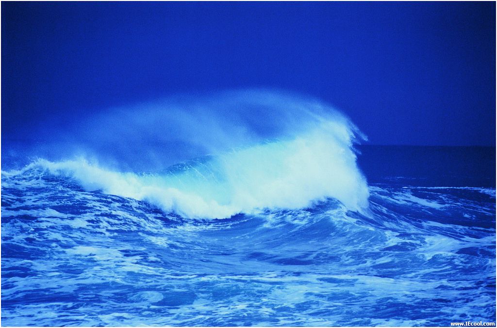 http://www.omega3-ala.com/pics/default/download/80367e22b2a615c9edd3ae9000f0bc02.jpg