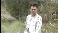 《羊城暗哨》片斷