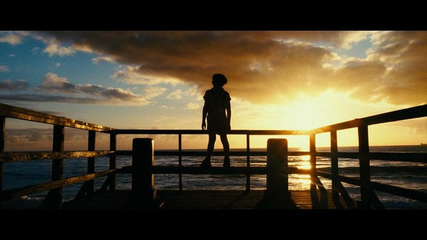 http://www.omega3-ala.com/pics/default/download/8151683db96e04831940abdbc0795d36.jpg