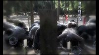 淚灑塵緣 11