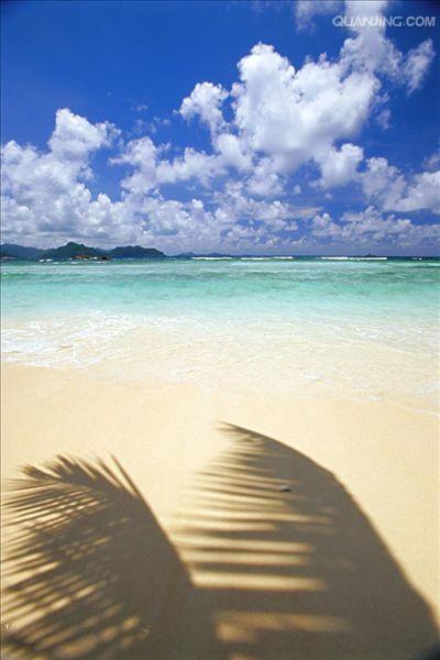 http://www.omega3-ala.com/pics/default/download/82116114465691f97a7a41e2b2baf153.jpg