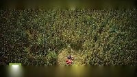 電視劇《《紅高粱》周迅激情戲完整版 網(wǎng)友：太激烈