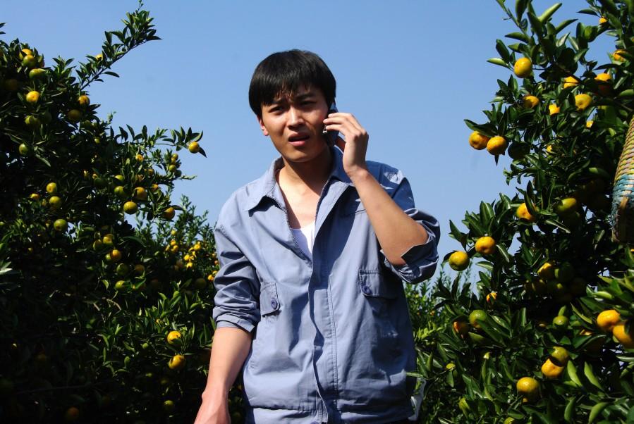 http://www.omega3-ala.com/pics/default/download/82cdd4a07c39c3e48044a388df6f01c7.jpg