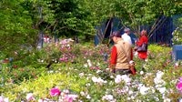 上海迪士尼度假區之星愿湖與星愿公園