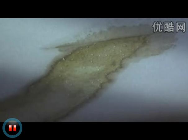 http://www.omega3-ala.com/pics/default/download/82de2ab7b4c50d84e38872ed3fdc1590.jpg