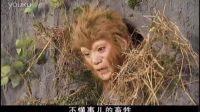 8.中國(guó)三類問(wèn)題兒童：一個(gè)是無(wú)父母的孫猴子，一個(gè)是父母離異的紅孩兒，一個(gè)是官二代哪吒（浙版西游記精華剪輯）