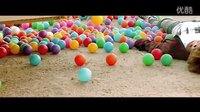 鹿晗水仙向 惡作劇之吻2 飯制版-鹿晗