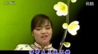 云南山歌---唱得比翼雙雙飛