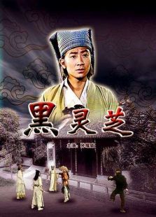 黑靈芝