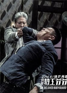 我的特工爺爺