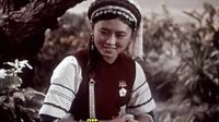 蝴蝶泉邊