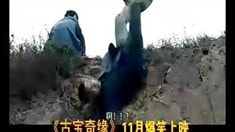 預(yù)告片