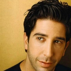 大衛(wèi)·休默David Schwimmer