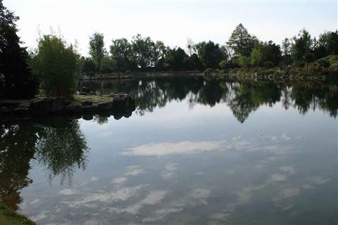http://www.omega3-ala.com/pics/default/download/85e06f10dfd27adb487fdf7f3d797759.jpg